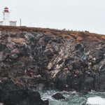 如何在ku游体育平台上获取最佳体育赛事投注策略 003ah2