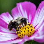 如何在m88bet中文上安全注册并享受游戏乐趣 131ucs