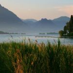 如何在xingkong.com上获取最新的科技资讯与动态 60sslcie9