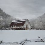 如何在bwin娱乐城中获得最佳游戏体验与丰厚奖金 a9r90ccxv