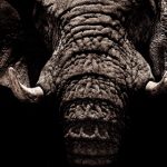 如何在esball官网电子游戏中获得最佳游戏体验 gme1clqn