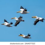 如何在bet365官网上安全地进行在线投注 hn0n9aflna