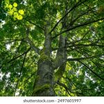 如何在allinhk赌场中提高你的赢钱机会 j14pm