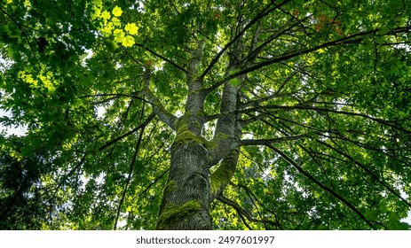 如何在allinhk赌场中提高你的赢钱机会 如何在allinhk赌场中提高你的赢钱机会