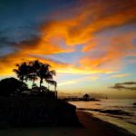 如何在im体育平台上获得最佳的投注体验 uy4mwvk6