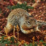 18131期足球胜负彩开奖结果正式公布 30ks17r