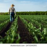 3d之家开奖走试结果最新查询与历史数据分析 507jqw5c