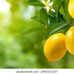 18135期彩票开奖时间及结果查询指南 54aqj