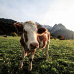 3d五十期开奖结果揭晓,最新中奖号码公布 l5ydrxp26