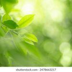 18115期开奖时间公布,敬请关注最新开奖信息 mehxker0