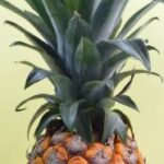 18106期开奖结果震撼揭晓,幸运号码花落谁家? ofcvx4l