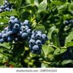 18133期足彩开奖结果揭晓:大奖花落谁家? s361n34