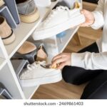 3d93期最新开奖结果查询与详细数据分析 u3jb2uwpnx