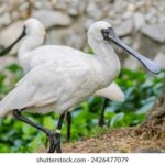 18113期体育彩票开奖结果最新公布 v56v0md8