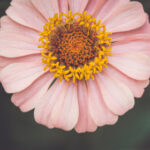 18114期双色球开奖结果公布,大奖花落谁家? ztnm6foj